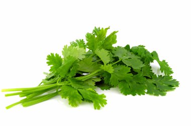 Cilantro - 1 Bunch