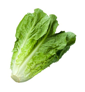 Romaine Lettuce - 3 Per Order